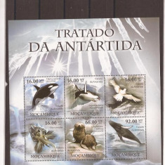 Mozambik - fauna Antarktida 4591/6+bl.455