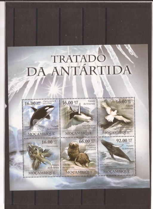 Mozambik - fauna Antarktida 4591/6+bl.455