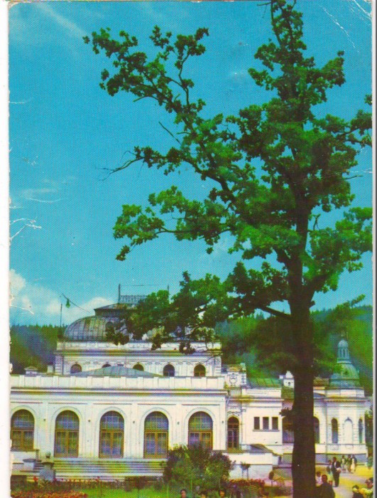 CPI (B6347) CARTE POSTALA - VATRA DORNEI. PAVILIONUL CENTRAL AL BAILOR