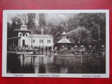 AKVDE 3 - Carte postala - Bucuresti -Parcul / gradina cismigiu, Circulata, Printata