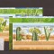 Guinea - cactuse 9717/9+bl.2204