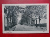 AKVDE 3 - Carte postala - Lacul Sarat - alee