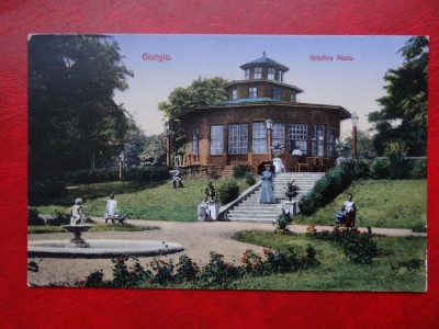 AKVDE 3 - Carte postala - Vedere - Giurgiu - Gradina Alciu foto
