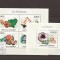 Comores - Minerale 2632/5+bl.562