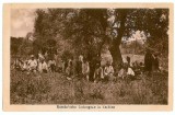 2192 - ARMY, Romanian Soldiers, Prisoners in Serbia - old postcard - unused