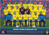 Foto fotbal echipa nationala a SUEDIEI 2011(dimensiuni 21X15 cm)