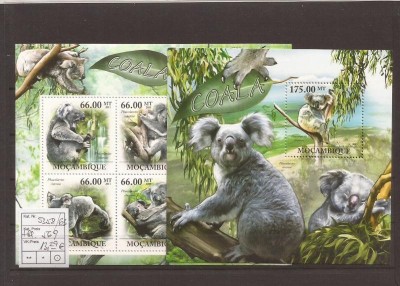 Mozambik - coala 5358/63+bl.569 foto