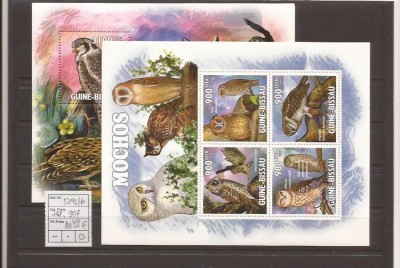 Guinea - Bissau - owls 5293/6+bl.907 foto