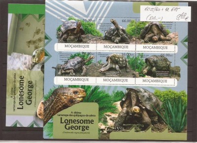Mozambik - Lonsome George turtle foto