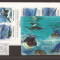 Mozambik - ocean fauna 5008/13+bl.518