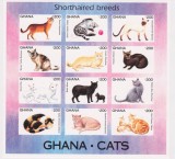 GHANA 1994 PISICI NEDANTELAT, Nestampilat