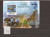 Guinea - Bissau - Galapagos fauna