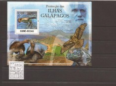 Guinea - Bissau - Galapagos fauna