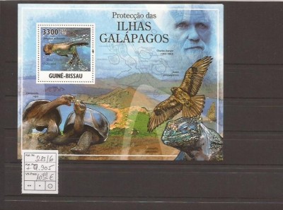 Guinea - Bissau - Galapagos fauna foto