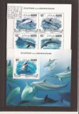 Maldives - dolphins de Indian ocean