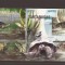Mozambik - turtles 6667/70+bl.773