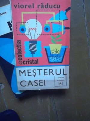 MESTERUL CASEI foto