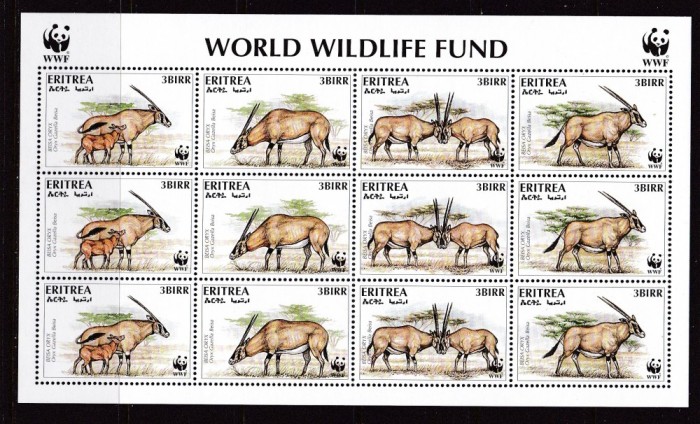 Eritreea 1996 fauna WWF MI 87-90 klb MNH w24