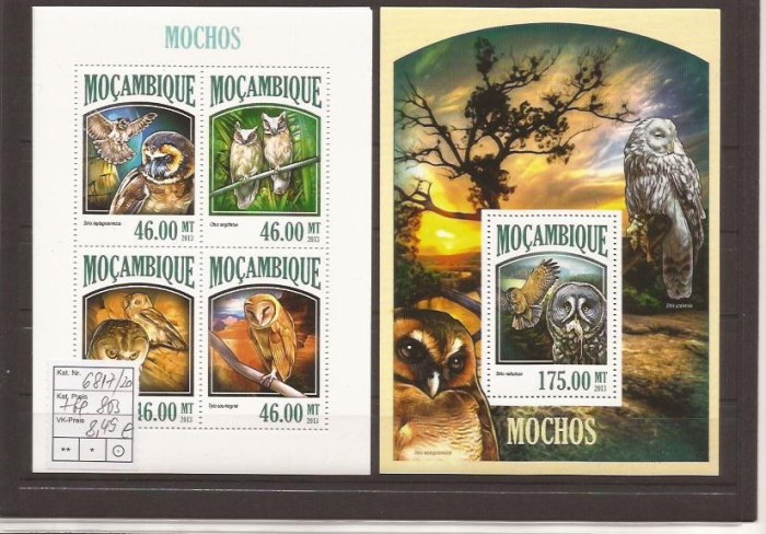 Mozambik - owls 6817/20+bl.803