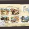 Comores - turtles 3007/11+bl.629