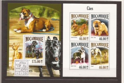 Mozambik - caini - 6982/5+bl.836 foto