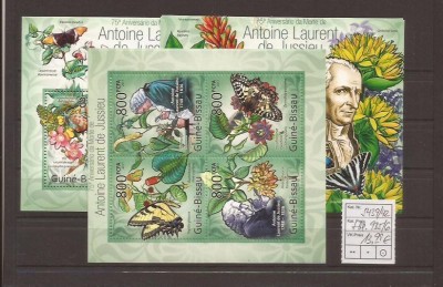 Guinea - Bissau - fluturi 5439/42+bl.935/36 foto