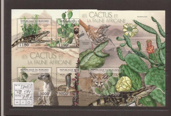 Burundi - cactuse si african fauna