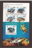 Maldives - sea turtles - Indian ocean