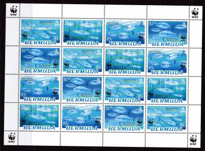 Bermude 2004 fauna marina WWF MI 877-80 klb MNH w24 foto