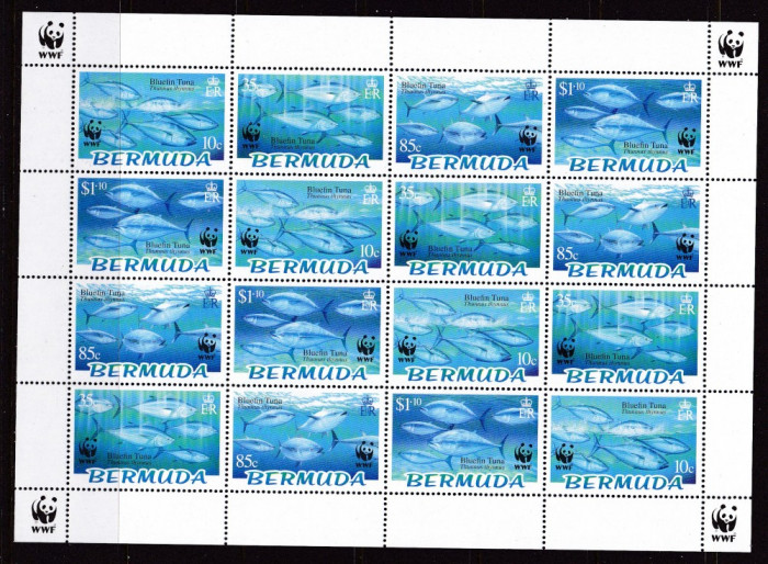 Bermude 2004 fauna marina WWF MI 877-80 klb MNH w24