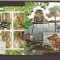 Burundi - nature protection 2580/3+bl.240