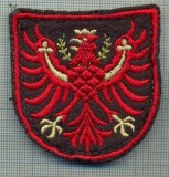 94 -EMBLEMA MANECA - POLITIE? -MILITARA?-GERMANIA?-starea care se vede