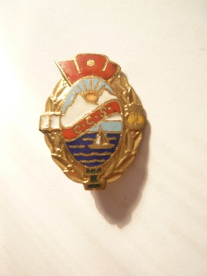 Insigna CCS - SAH , metal si email , h= 2,5 cm foto