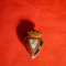 Insigna veche Fotbal Club Osasuna -Pamplona - Spania ,metal si email , h= 1,7