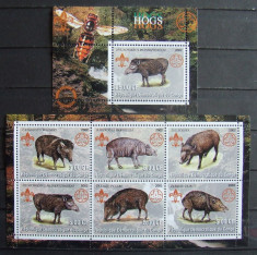 CONGO 2002 - PORCI MISTRETI, 1 M/SH SI 1 S/S NEOBLITERATE - PP 859 foto