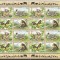 UNO New York - fauna 1998 - 767/70 klbg