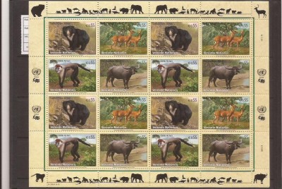 UNO Wien 2004 fauna - 406/9 klbg foto