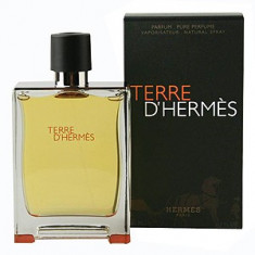 Hermes Terre D&amp;#039;Hermes EDP 75 ml pentru barbati foto