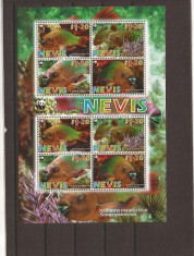 Nevis - WWF fauna - parrotfisch - 2208/11 klbg foto