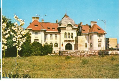 CPI (B6522) CARTE POSTALA - PIATRA NEAMT. MUZEUL DE ISTORIE foto