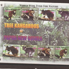 Papua New Guinea - tree kangaroos WWF fauna