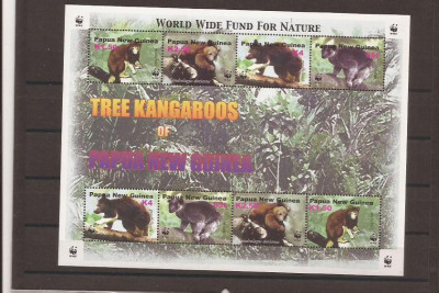 Papua New Guinea - tree kangaroos WWF fauna foto