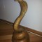 Cobra regala,reala ,conservata