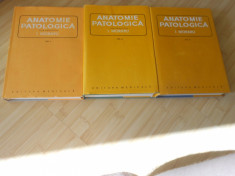 I. MORARU--ANATOMIE PATOLOGICA - 3 VOL. foto