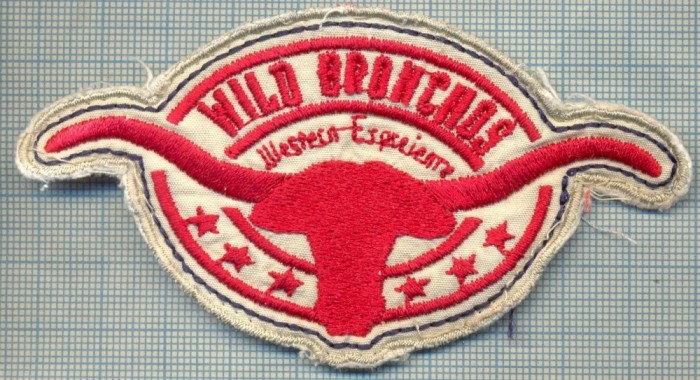 158 -EMBLEMA RODEO - WILD BRONCHOS - WESTERN EXPERIENCE -SUA-starea care se vede