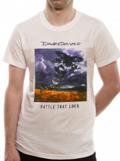 DAVID GILMOUR Rattle That Lock wht (tricou) foto