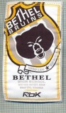 168 -EMBLEMA - BETHEL BRUINS HIGH SCHOOL -VIRGINIA - SUA -starea care se vede