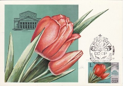 3951 - Rusia 1978 - carte maxima foto