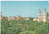 CPI (B6575) CARTE POSTALA - SATU MARE, PARCUL LIBERTATII, Necirculata, Fotografie