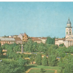 CPI (B6575) CARTE POSTALA - SATU MARE, PARCUL LIBERTATII